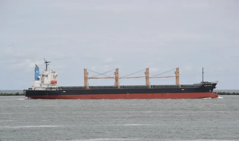 MANTA MELEK Bulk Carrier IMO 9536856 photo 5