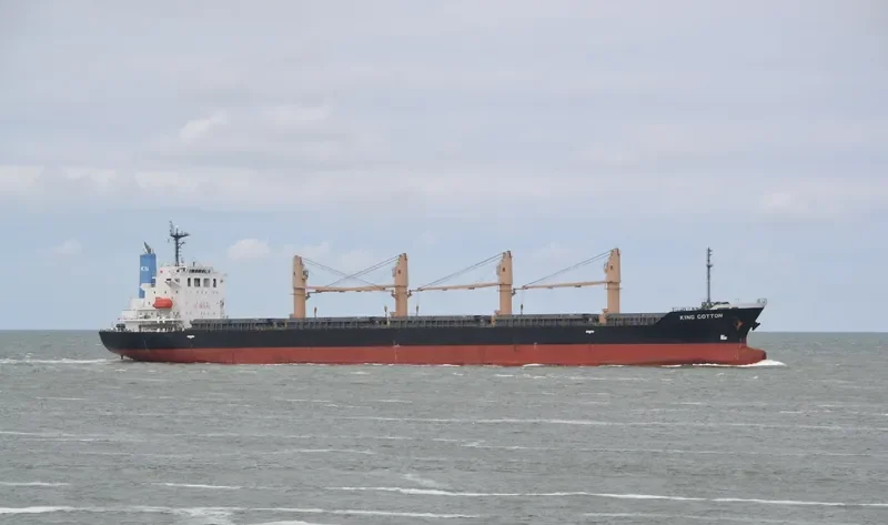 MANTA MELEK Bulk Carrier IMO 9536856 photo 6