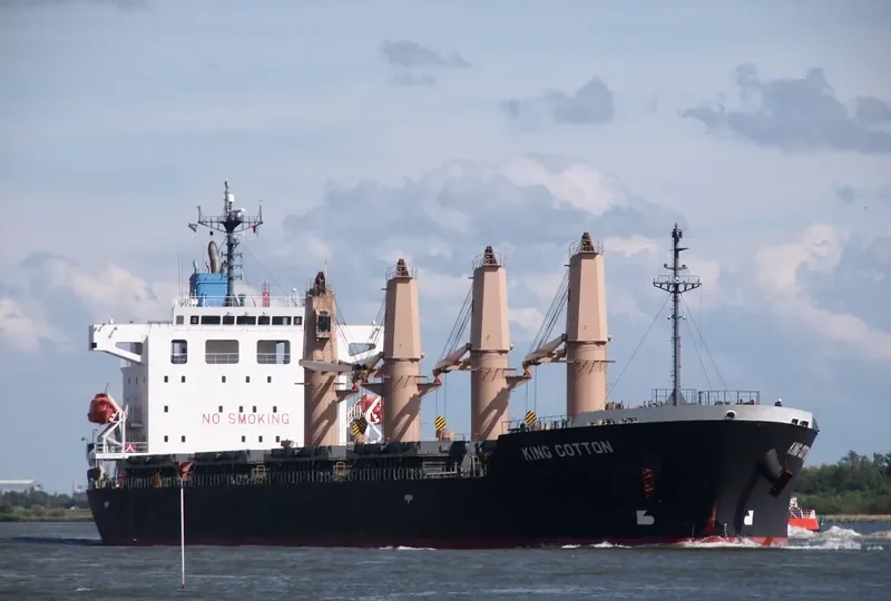 MANTA MELEK Bulk Carrier IMO 9536856 photo 7