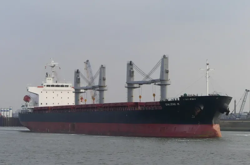 GALENE M General Cargo IMO 9536997 photo 2