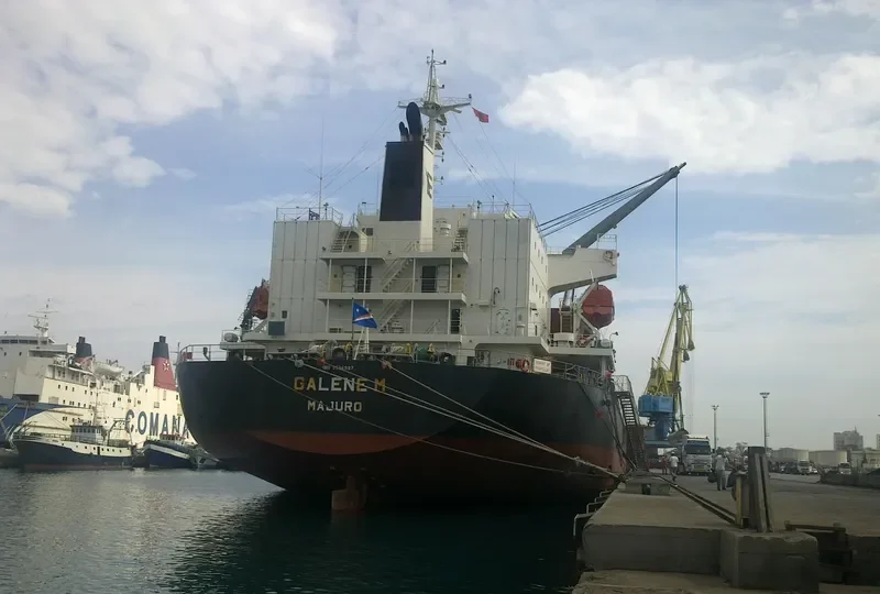 GALENE M General Cargo IMO 9536997 photo 6