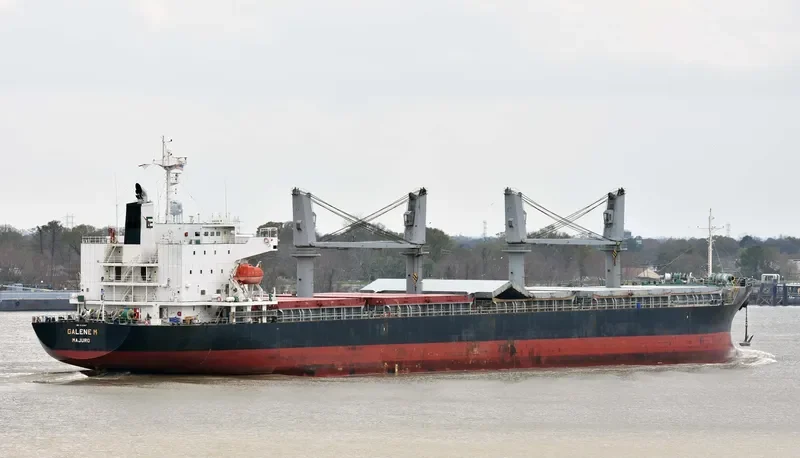 GALENE M General Cargo IMO 9536997 photo 10