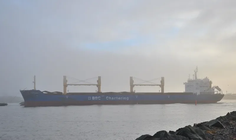 BBC NEPTUNE Bulk Carrier IMO 9537264 photo 3