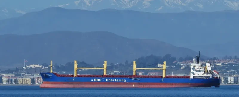 BBC NEPTUNE Bulk Carrier IMO 9537264 photo 7