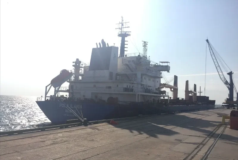 BBC PLUTO Bulk Carrier IMO 9537276 photo 5