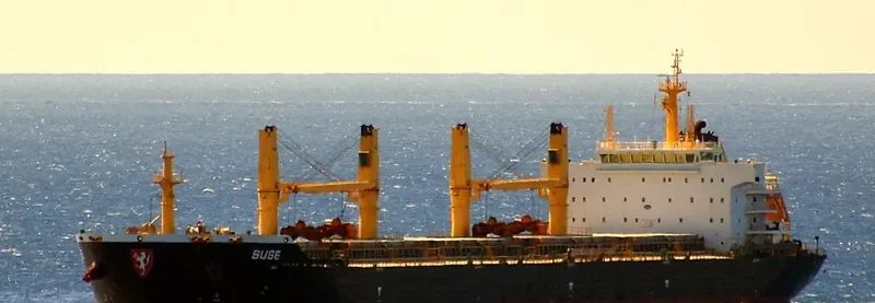 CAPTAIN JOHN Bulk Carrier IMO 9537379