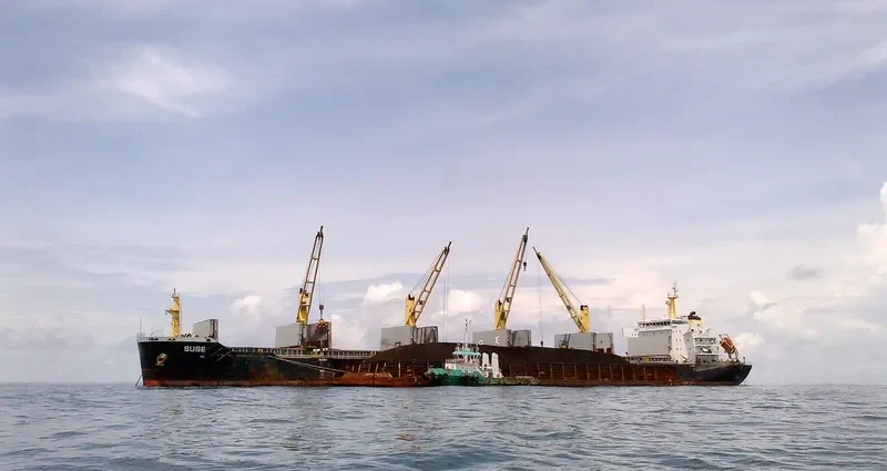 CAPTAIN JOHN Bulk Carrier IMO 9537379 photo 8