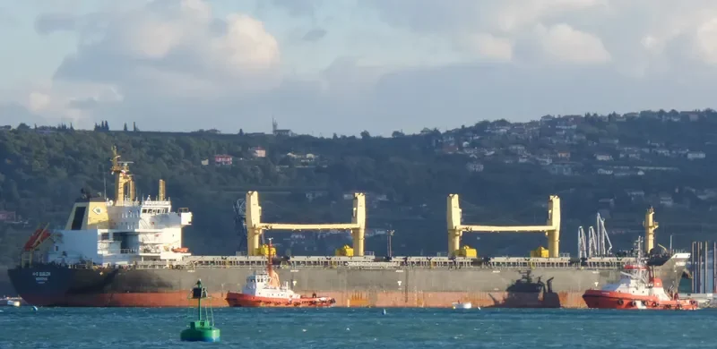 ANTERO Bulk Carrier IMO 9537381 photo 7
