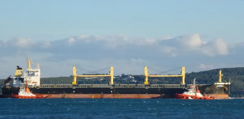 ANTERO Bulk Carrier IMO 9537381 photo 8