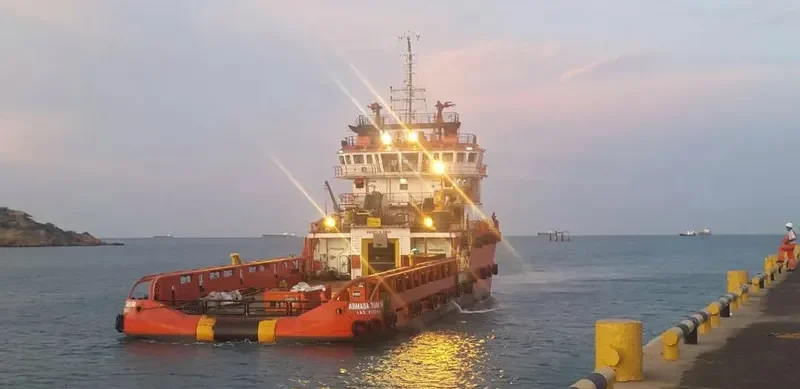 WAYNE Multi-Purpose Vessel IMO 9537446