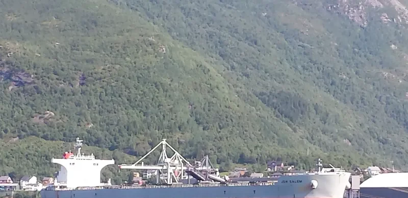 JSW SALEM Bulk Carrier IMO 9537721 photo 7