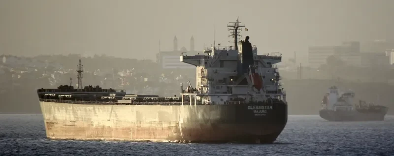 GLEAMSTAR Bulk Carrier IMO 9537733