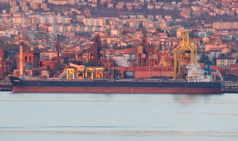 GLEAMSTAR Bulk Carrier IMO 9537733 photo 7