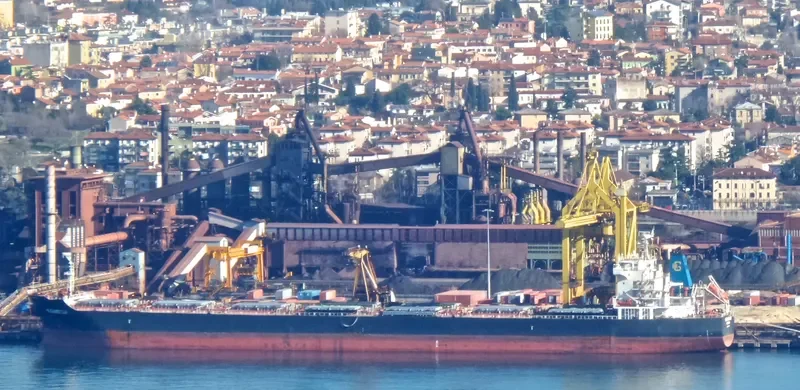 GLEAMSTAR Bulk Carrier IMO 9537733 photo 9