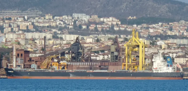 GLEAMSTAR Bulk Carrier IMO 9537733 photo 10