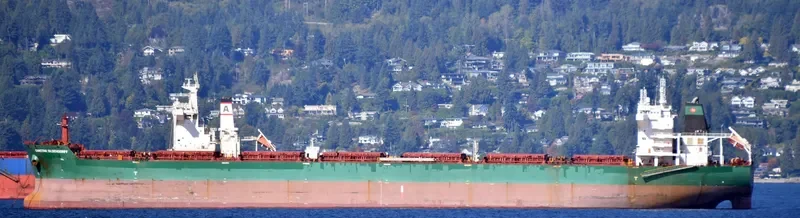 CHRISTINE OLDENDORFF Bulk Carrier IMO 9537898