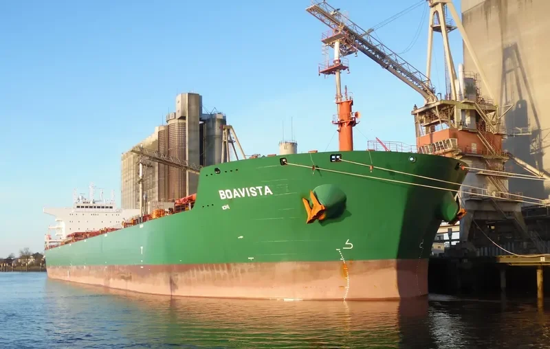 CHRISTINE OLDENDORFF Bulk Carrier IMO 9537898 photo 9