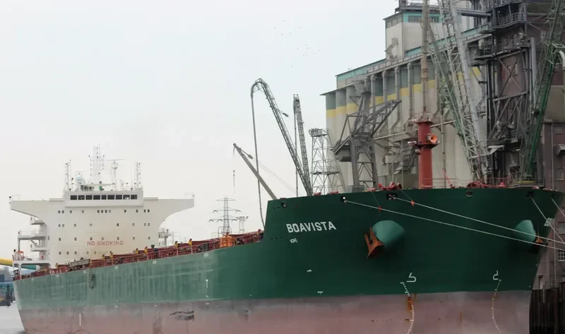 CHRISTINE OLDENDORFF Bulk Carrier IMO 9537898 photo 10