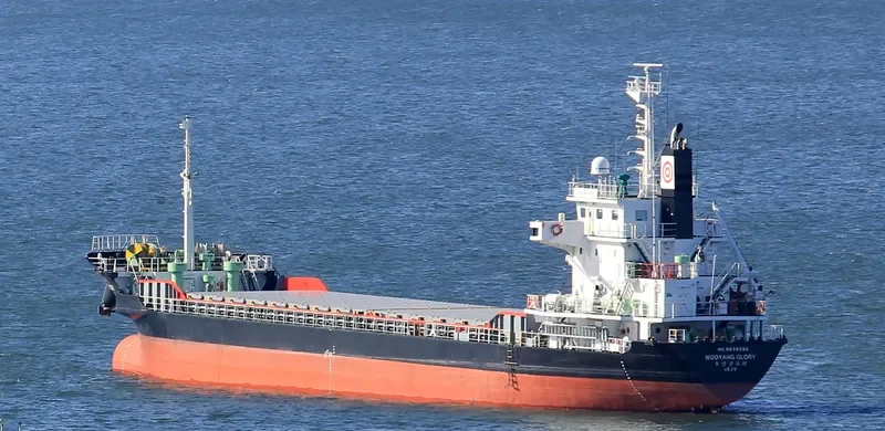 WOOYANG GLORY General Cargo IMO 9538256 photo 3