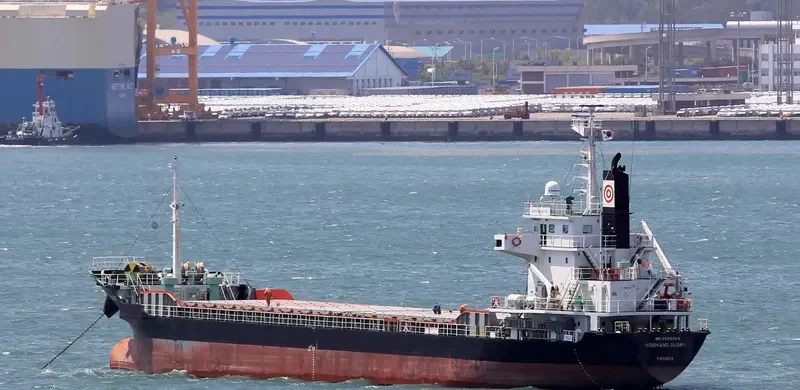 WOOYANG GLORY General Cargo IMO 9538256 photo 4