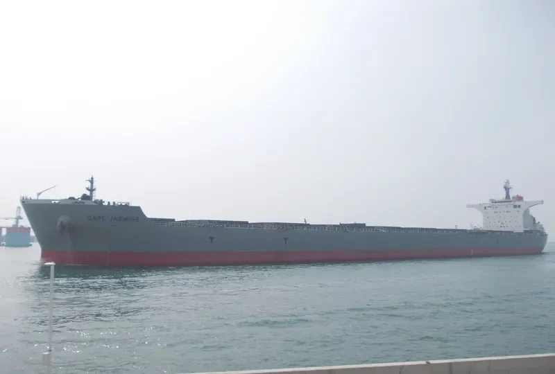 CAPE JASMINE Bulk Carrier IMO 9538751 photo 2