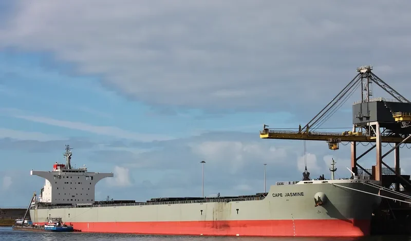 CAPE JASMINE Bulk Carrier IMO 9538751 photo 3