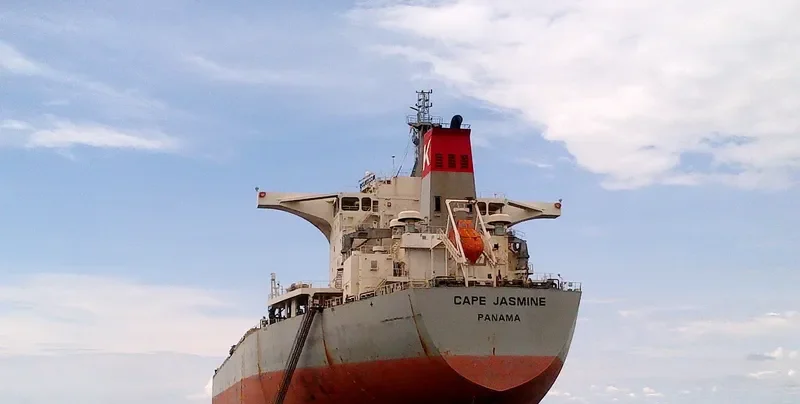 CAPE JASMINE Bulk Carrier IMO 9538751 photo 6
