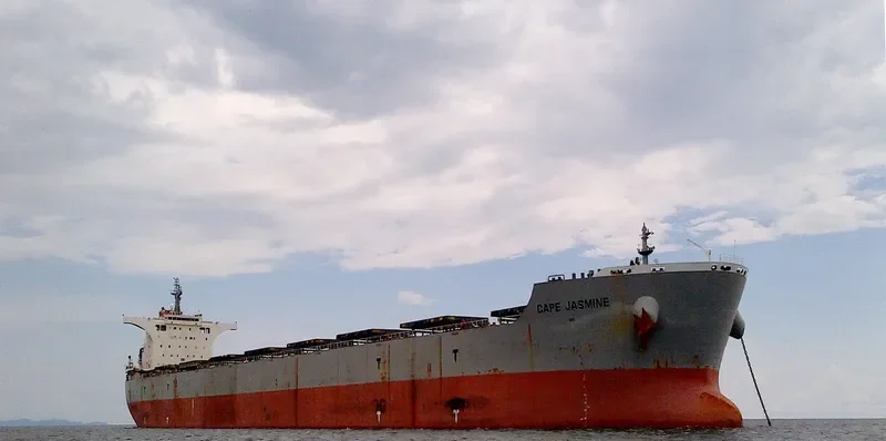 CAPE JASMINE Bulk Carrier IMO 9538751 photo 8