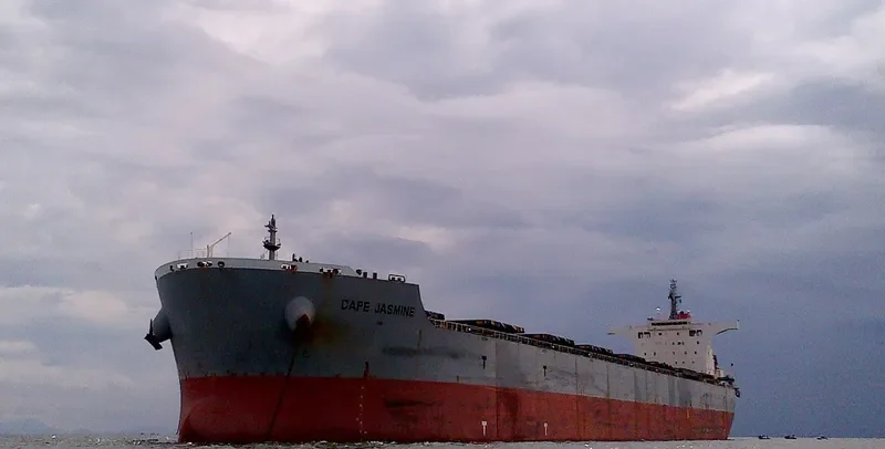 CAPE JASMINE Bulk Carrier IMO 9538751 photo 10
