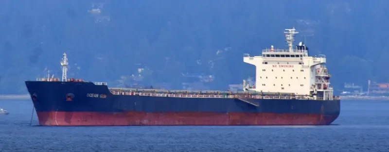 OCEAN GEM Bulk Carrier IMO 9538763 photo 4