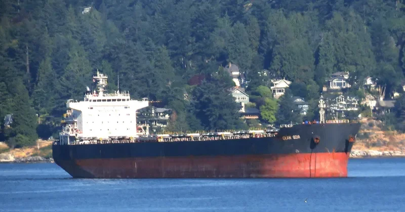 OCEAN GEM Bulk Carrier IMO 9538763 photo 10