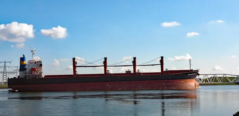 AMEENA JAHAN Bulk Carrier IMO 9538945