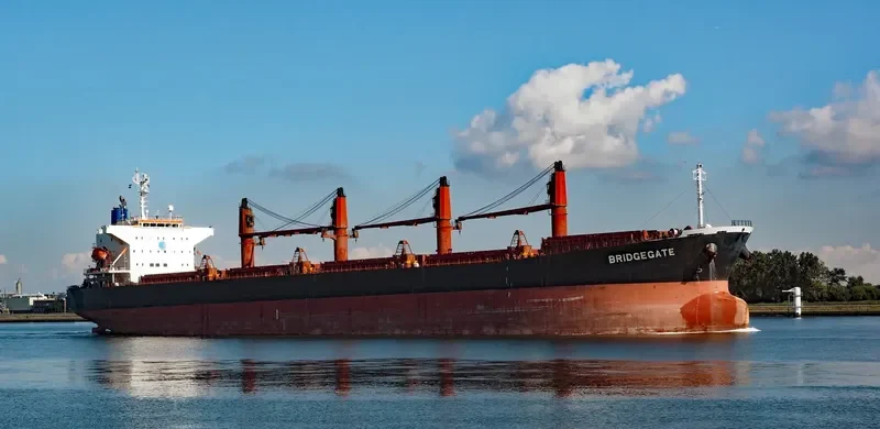 AMEENA JAHAN Bulk Carrier IMO 9538945 photo 2