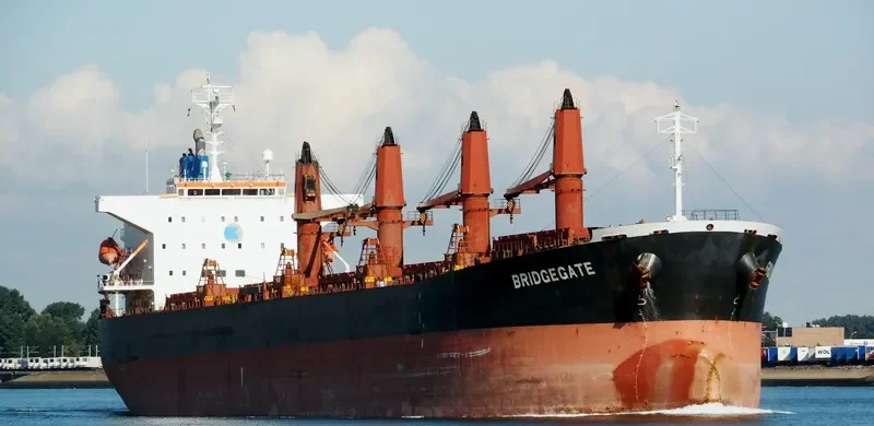 AMEENA JAHAN Bulk Carrier IMO 9538945 photo 3