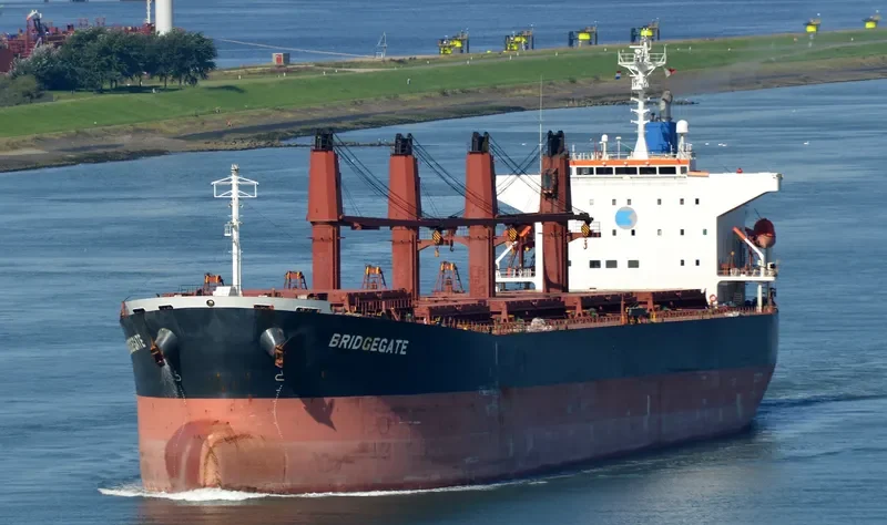 AMEENA JAHAN Bulk Carrier IMO 9538945 photo 4