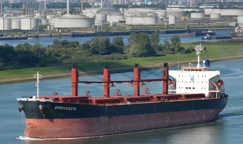 AMEENA JAHAN Bulk Carrier IMO 9538945 photo 5