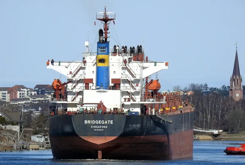 AMEENA JAHAN Bulk Carrier IMO 9538945 photo 6
