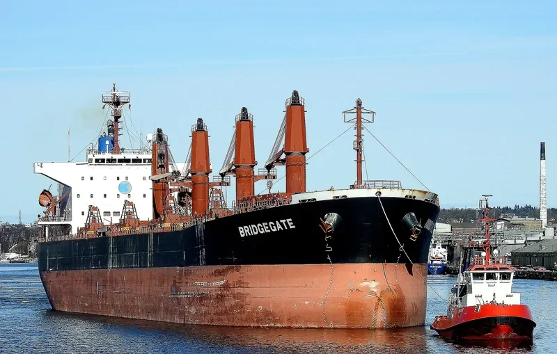 AMEENA JAHAN Bulk Carrier IMO 9538945 photo 7