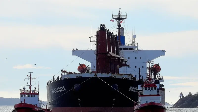 AMEENA JAHAN Bulk Carrier IMO 9538945 photo 8