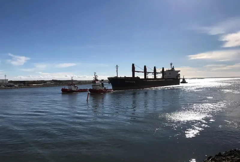 AMEENA JAHAN Bulk Carrier IMO 9538945 photo 9
