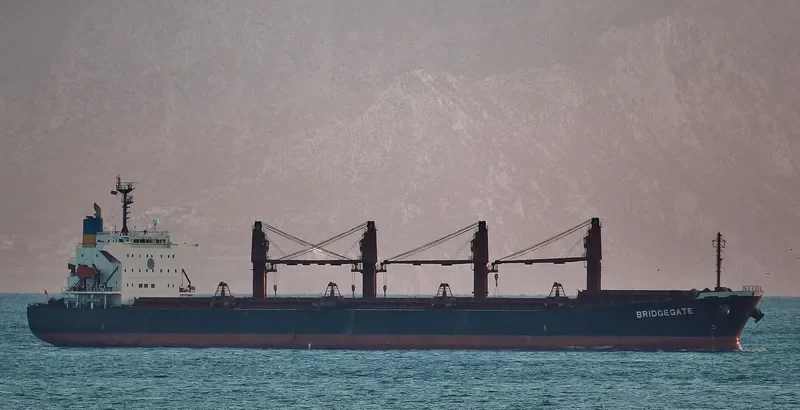 AMEENA JAHAN Bulk Carrier IMO 9538945 photo 10