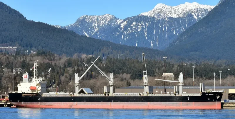KEN SPIRIT Bulk Carrier IMO 9538971 photo 7