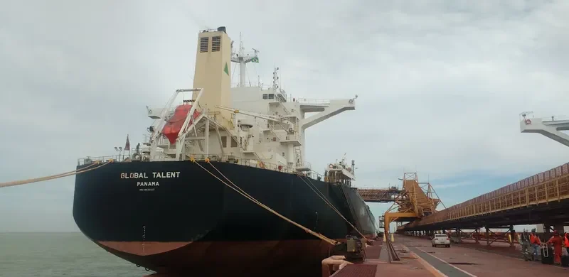 GLOBAL TALENT Bulk Carrier IMO 9539107 photo 7