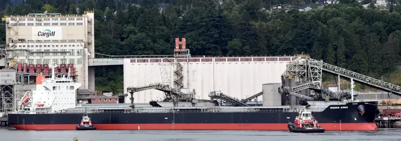 BUENOS AIRES Bulk Carrier IMO 9539248