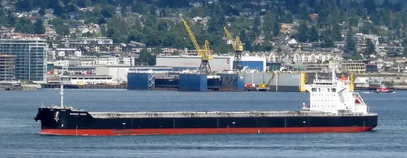 BUENOS AIRES Bulk Carrier IMO 9539248 photo 2