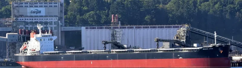 BUENOS AIRES Bulk Carrier IMO 9539248 photo 4