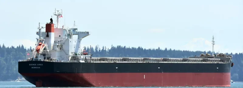 BUENOS AIRES Bulk Carrier IMO 9539248 photo 5