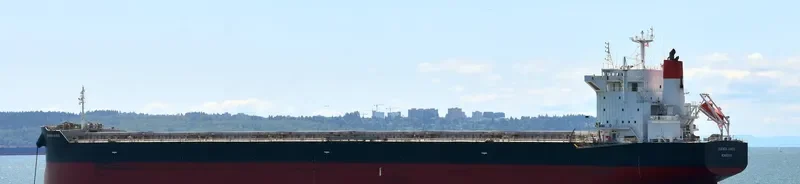 BUENOS AIRES Bulk Carrier IMO 9539248 photo 6