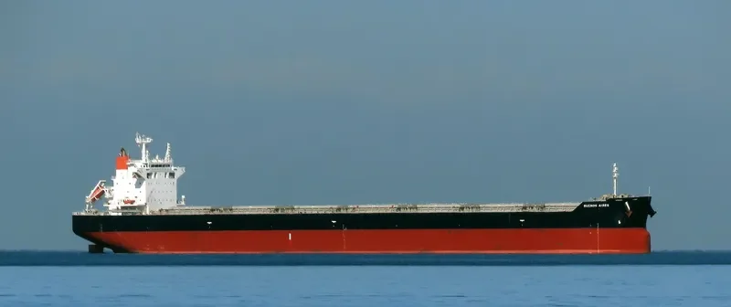 BUENOS AIRES Bulk Carrier IMO 9539248 photo 8
