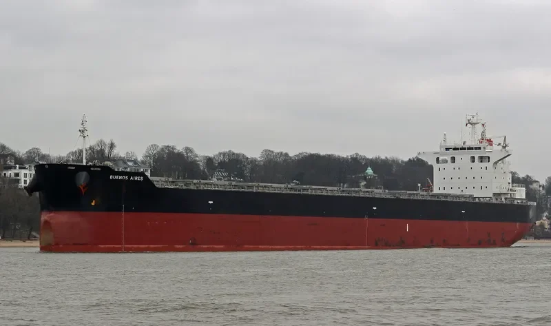 BUENOS AIRES Bulk Carrier IMO 9539248 photo 10